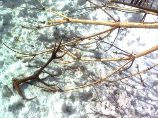 na narodeniny,dakujem!