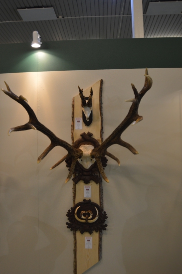 Tri Slovenské rekordy