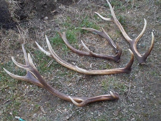 Dnešná prechádzka