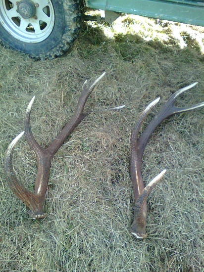 Keď sa darí mladším....