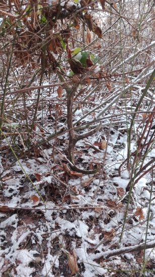 100 x som ho obišiel