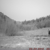 Keď slnko zapadne ...