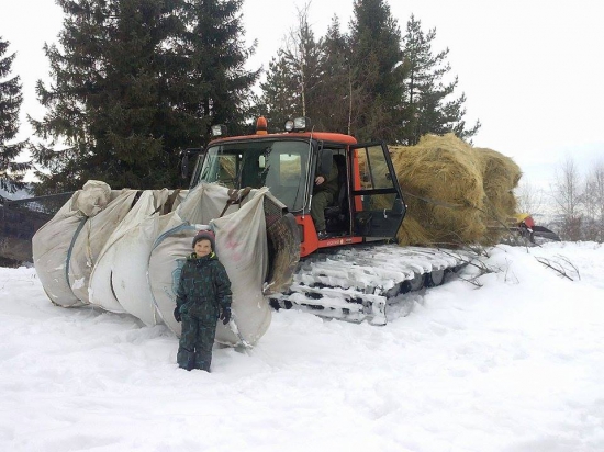 Zakrmovanie(Vitanová)