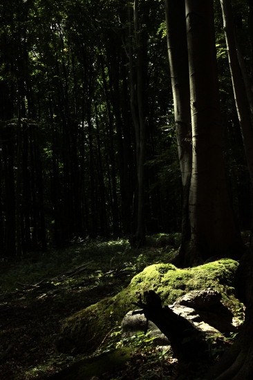 Občas akoby sa zastavil čas a ty si užívaš to ticho a krásnu