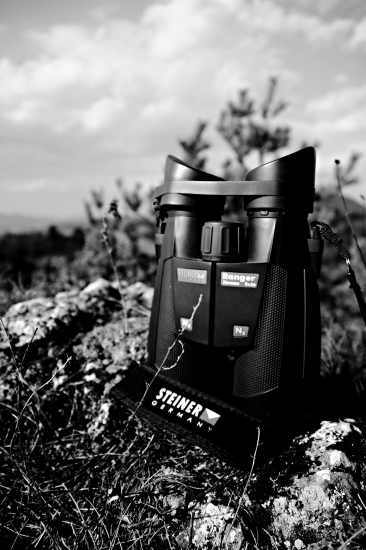 Steiner Ranger Extreme 8x56