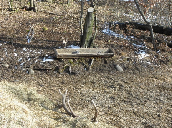 12 a 16torak na krmovisku dnes rano