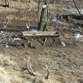 12 a 16torak na krmovisku dnes rano