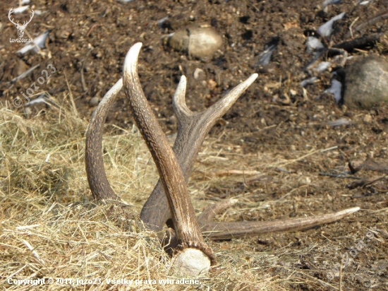 12torak- 2,60kg