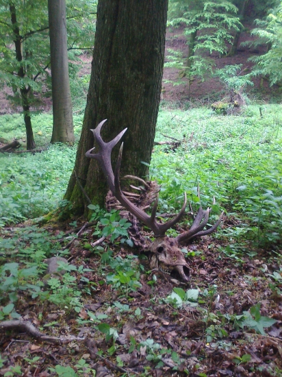 Mozno zlato skoda ze nie moje.