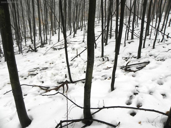 Dnešny dvanactorak.