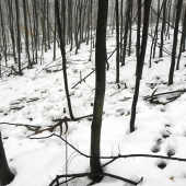 Dnešny dvanactorak.