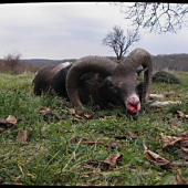 Kamaratov dneska ráno.