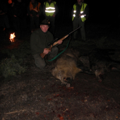 Ked ide karta v pohone.