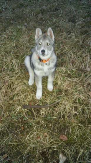 Argo a jeho prvý nález