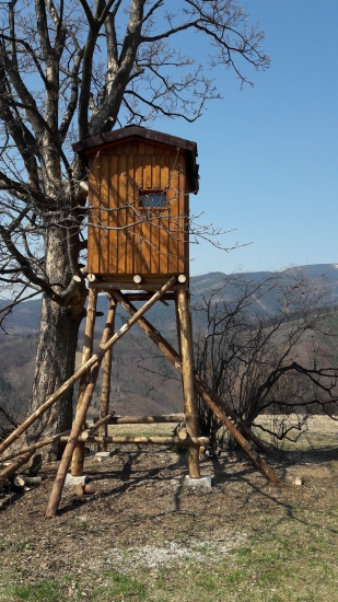 Konečne na svojom mieste