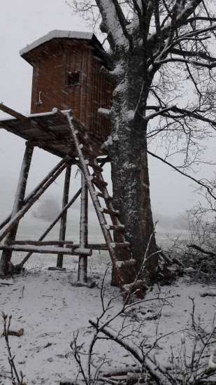Dnešná vychádzka k posedu