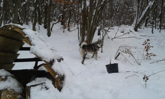 Vianočná prechádzka k solisku