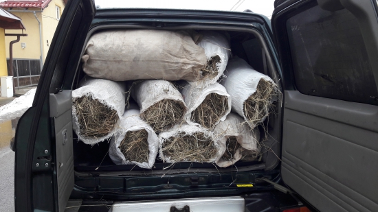 Túto zimu im nejako chutí