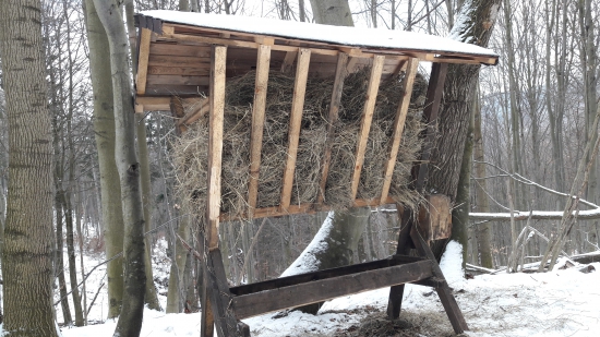 Doplnenie sena  a soli