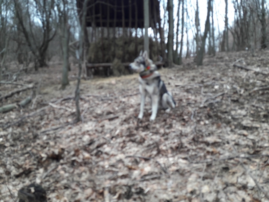 Dnes možno posledné dopľňanie senníka