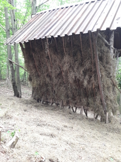 Naplnenie senníka - úloha splnená