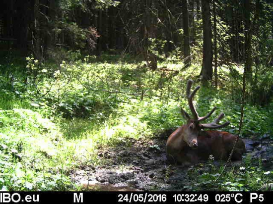 Bahenné kúpele -tá pohoda..