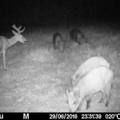 A keď sme už spolu, tak si zaspievame...