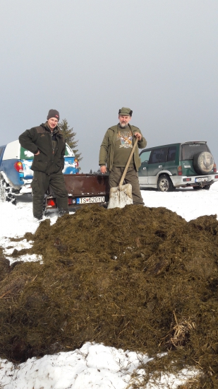 Komu sa nelení, tomu sa zelení