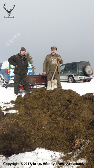 Komu sa nelení, tomu sa zelení