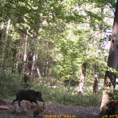 Rodinka na olovrante