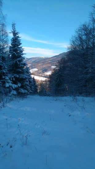 Krajinka