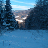 Krajinka