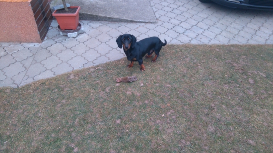 Apolo a jeho najoblubenejsia hracka