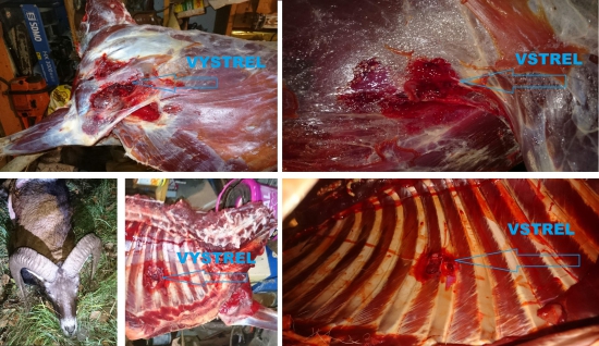 Norma  ORYX   10,1g. 6,5x284