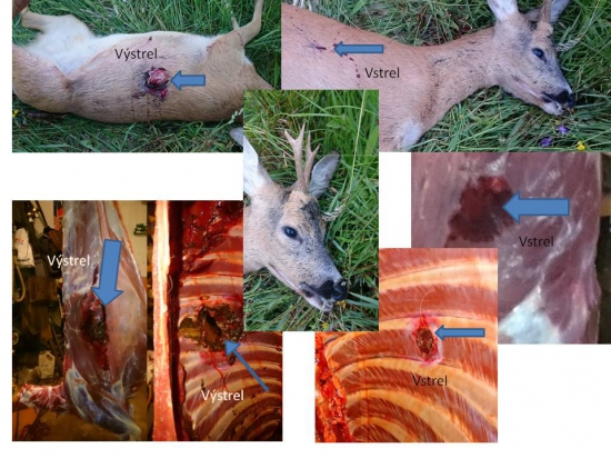 Norma  ORYX   10,1gr -6,5 x284