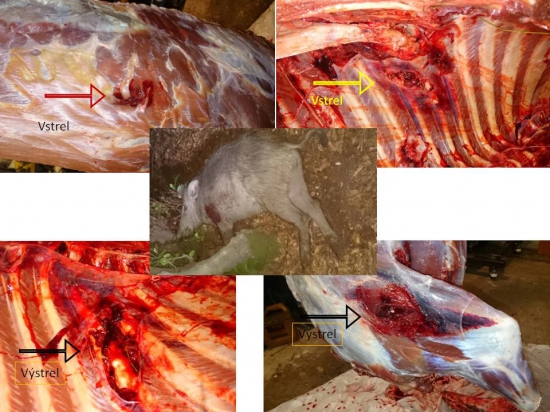 Norma Oryx 10,1gr - 6,5x284