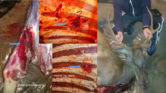 Norma Oryx 10,1gr - 6,5x284