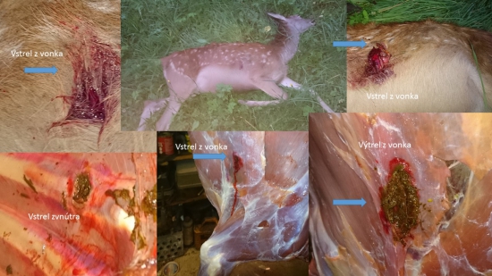 Danielka TOG V0-760 m/s-9,3x62