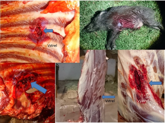 Prebíjaný  TOG 9,3x62