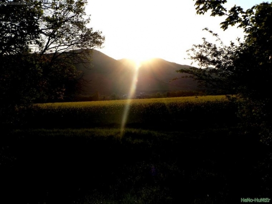 13922
