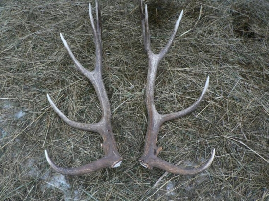 Pre tych čo neveria 12-torak