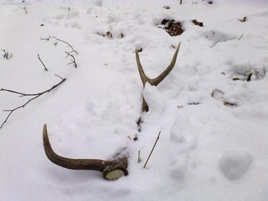 takto tam namna cakal