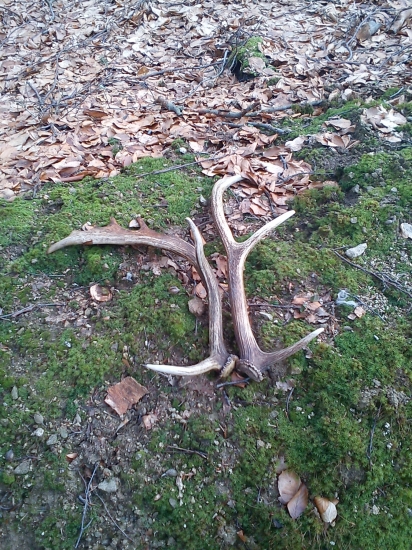 moj a kamratov prvy tento rok