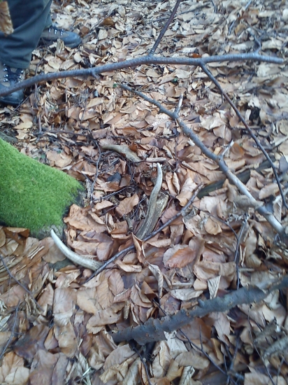 prvýý tento rok :D