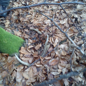 prvýý tento rok :D