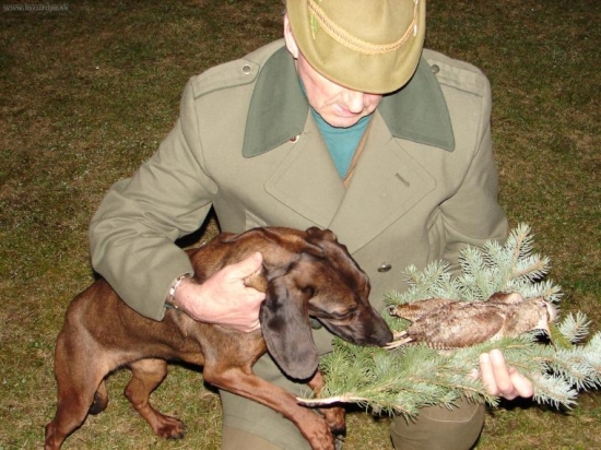 Ulovená Sluka v Kremnických Vrchoch