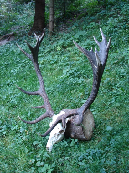 20-torák z Hornej Štubne