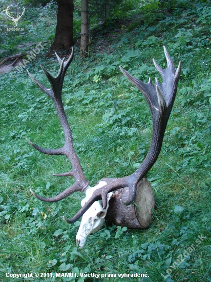 20-torák z Hornej Štubne