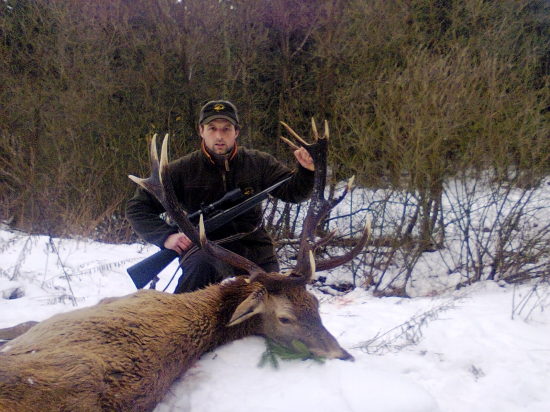 Spolupráca s vlkmi.