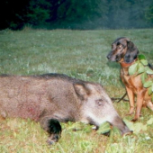 Prvý
